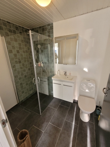 renovering badeværelse grøn toilet